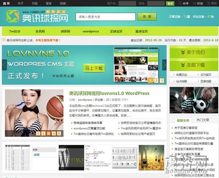 wordpress cms主题 lovnvns模板 WP主题模板 正品博客模板