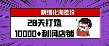 YL精细化淘差价28天打造10000+利润店铺，精细化选品项目（附软件）