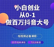 蛋解创业 小白创业从0-1做百万抖音大号 全套实战课