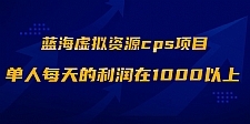 蓝海虚拟资源cps项目，目前最高单人每天的利润在1000以上【视频课程】