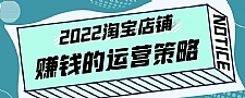 震宇老师·2022年淘宝店铺赚钱的运营策略，一套能够盈利的赚钱打法