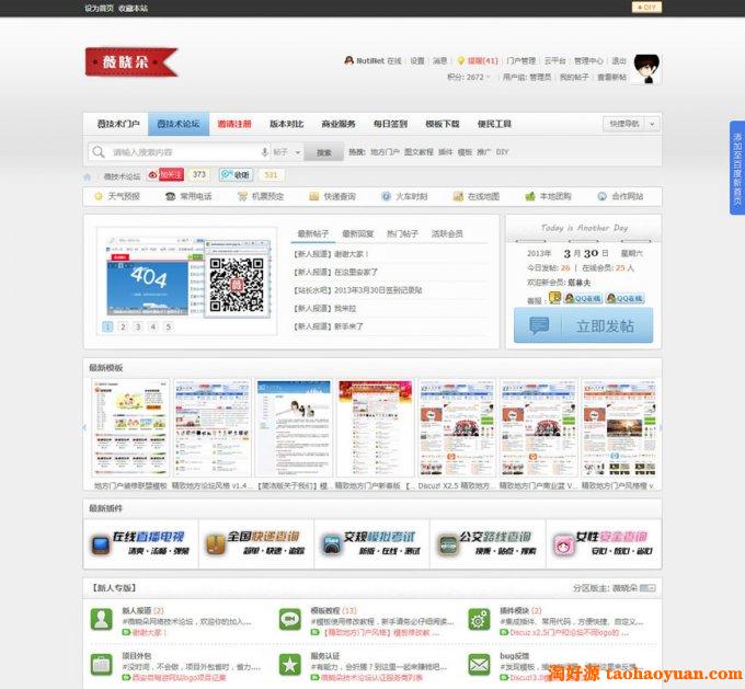 薇晓朵技术论坛 V1.3社区版GBK DZ模板 x3.2模板 价值300元