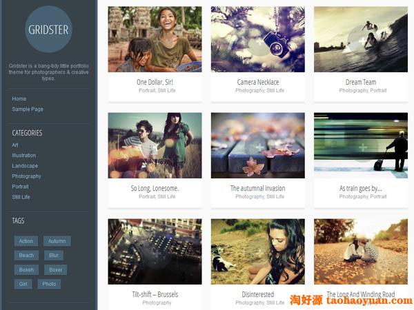 wordpress图片/摄影主题：gridster